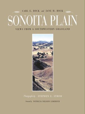 cover image of Sonoita Plain